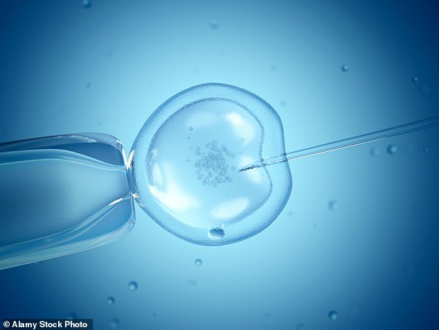 The groundbreaking research from Melbourne's Monash University could be key to improving IVF success rates as male fertility continues to decline around the world (stock image)