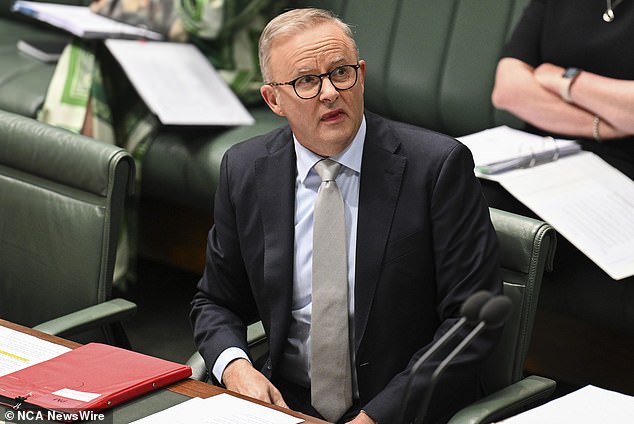 Prime Minister Anthony Albanese claimed Coles and Woolworths had 