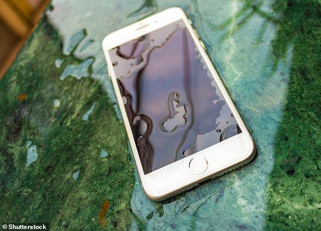 A wet iPhone should be air dried.  Apple said, correcting the myth that dry rice will extract more moisture