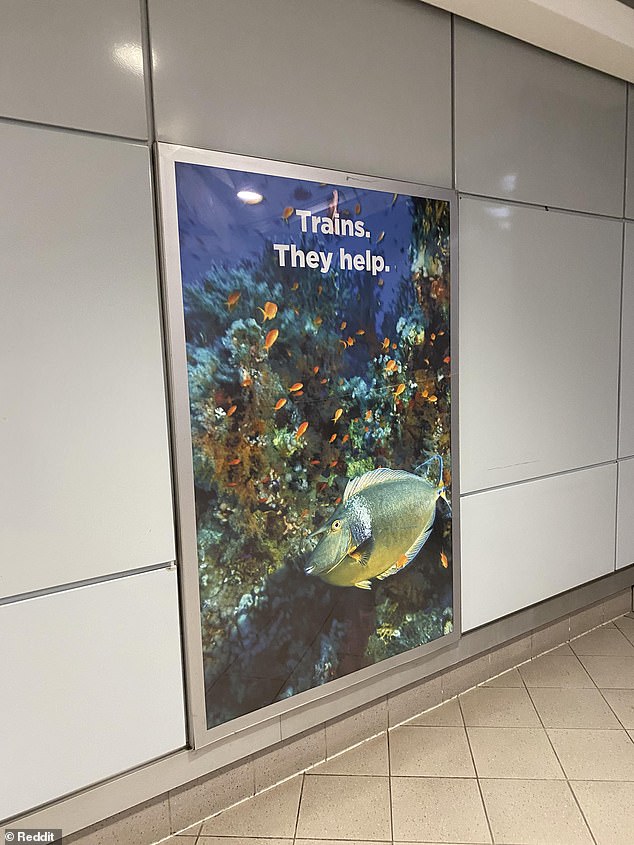 Aussies baffled by sign at train station and no