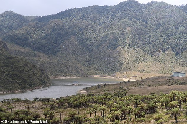 An Australian pilot has been kidnapped in Papua New Guinea (stock image)