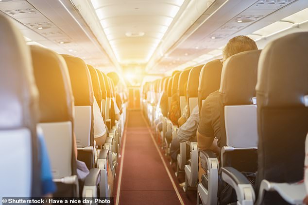 There are many rules and regulations when it comes to flying, but most people are more concerned with identifying the safest seat on board (stock image)