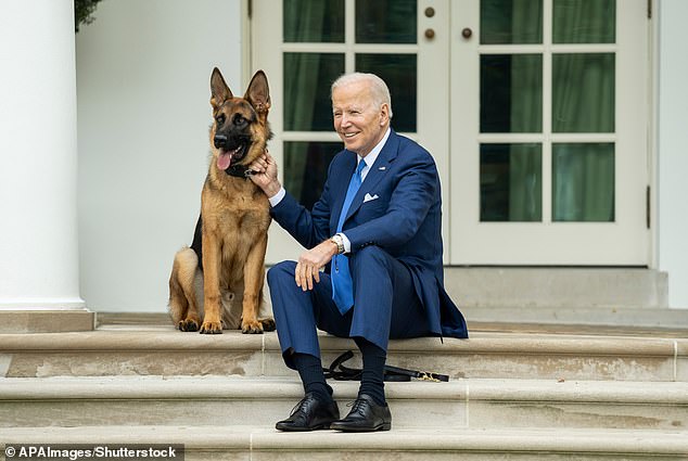 The White House puppy has been removed from the home and is now said to be with friends of the Bidens in Delaware