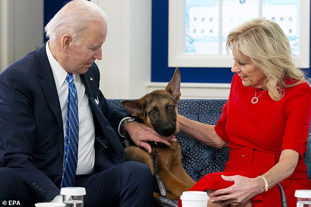 One of the attacks by President Biden's dog commander left a 