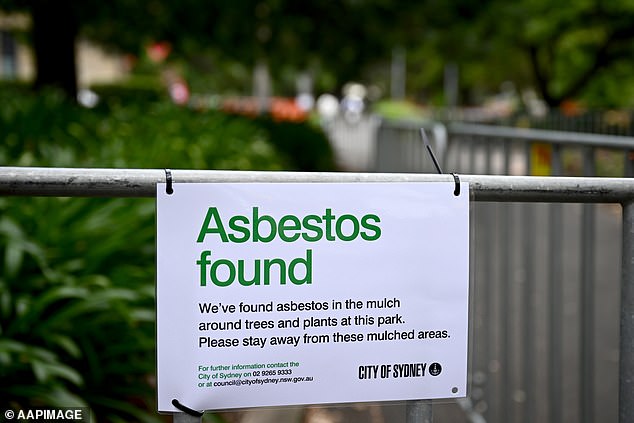 Sydney's Victoria Park, where bound asbestos was found in mulch, is pictured on Wednesday, February 14, 2024