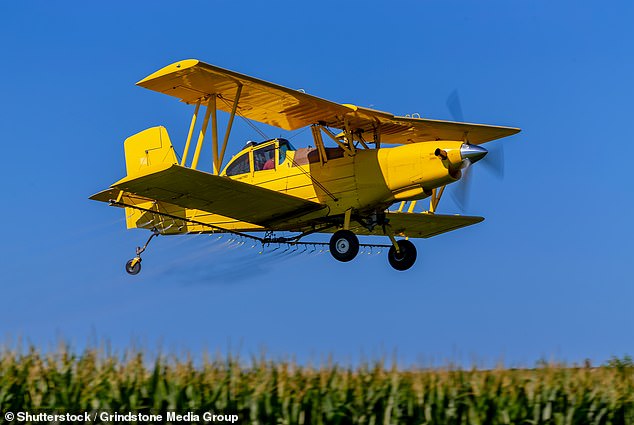 Police said officers from the Central North District discovered a jet had crashed in a field (pictured)