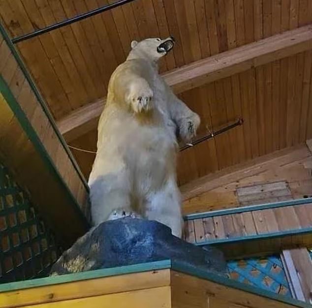 A 200kg stuffed polar bear was stolen from a wellness resort in Alberta, Canada, shocking locals and baffling police