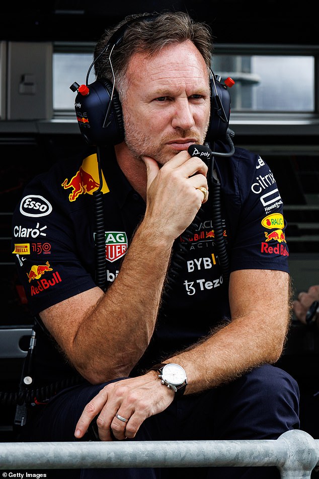 Christian Horner has reportedly offered to pay an employee who accused him of sexual misconduct