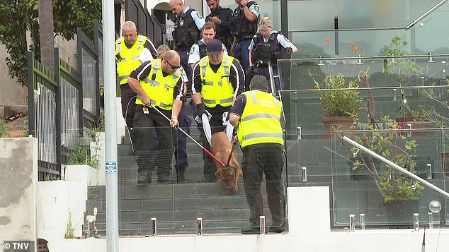 Dog handlers are pictured removing the animal from the property on Tuesday