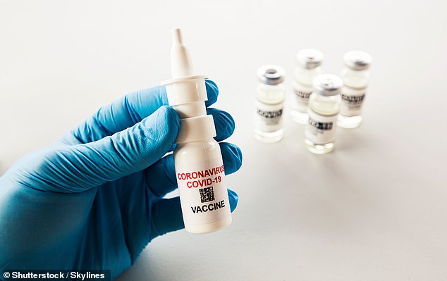 According to a study, the vaccine provides almost immediate protection against Covid - compared to conventional injected vaccines, which take up to 14 days to become fully effective