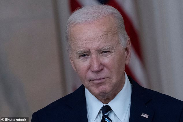 Democratic senators fear President Joe Biden's old age could cost the party the White House, but the subject is so taboo it hasn't even come up during their weekly private lunch