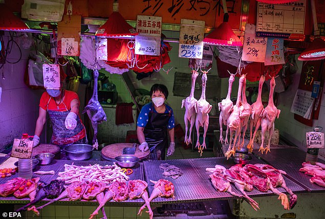 Wet markets are large collections of open-air stalls where vendors flog live animals, raw meat and fish, as well as fruits and vegetables, herbs and spices.  Experts have long warned of the increasing disease threat posed by such markets, labeling them as ideal conditions for the transmission of pathogens