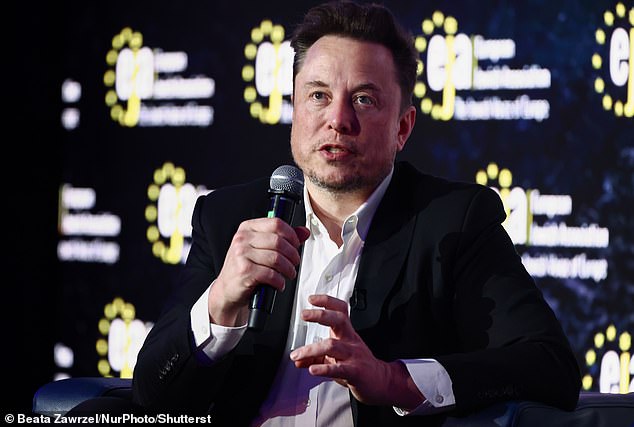 Musk suggested the president is taking a lax approach to immigration to keep Democrats in power permanently