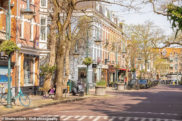 Amsterdam Mayor Femke Halsema even supported the plans and in December 2023 suggested the affluent Zuid district, an area in the south of the city, as a suitable location for the building, according to local media (file image)