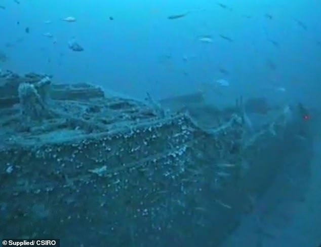 The crew, from Australia, Great Britain and Canada, left behind about 40 children.  The NSW Government has launched a global appeal so family members can finally know what happened to their ancestors (starboard photo of SS Nemesis)