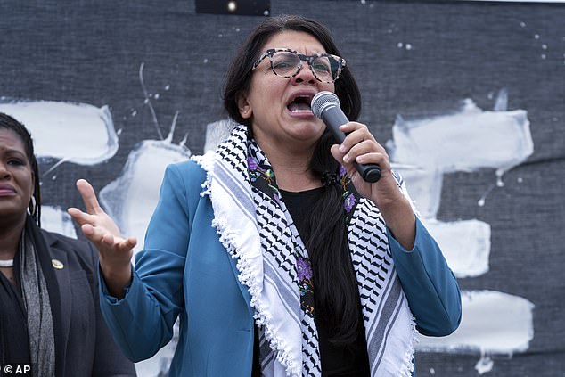 Representative Rashida Tlaib speaks during a pro-Palestinian rally in Washington in October 2023. Tlaib subsequently faced censure for statements about the war between Israel and Hamas.