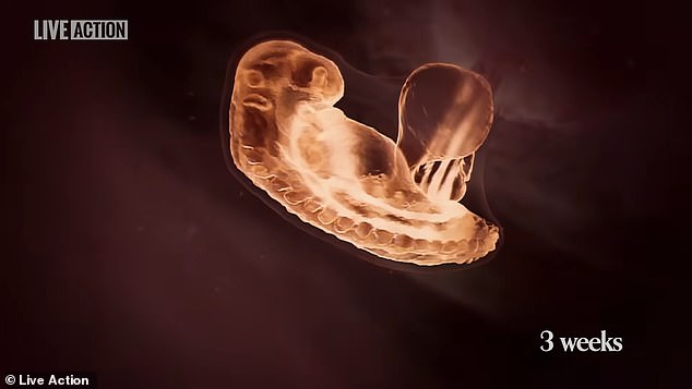 The clip claims that the heart starts beating after three weeks.  Doctors say that the heart starts beating six to four weeks after fertilization