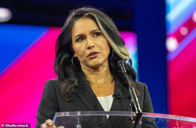 Former United States Representative Tulsi Gabbard