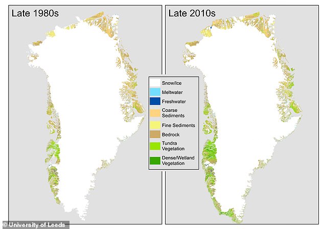 Over the past three decades, Greenland has become greener as vegetation cover has expanded, especially in the southwest and northeast