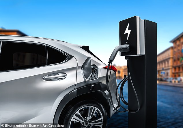 The leasing company says Britain's 'two-car family' could delay the wider transition to battery vehicles as many want to keep a petrol or diesel engine as a backup.