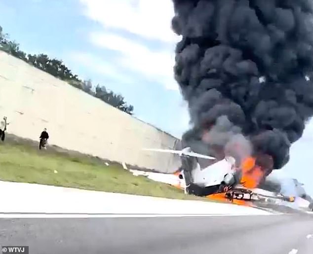 Other images – including video captured by passing motorist Kyle Cavaliere – showed the huge plumes of smoke rising from the wreckage moments after the plane crashed.