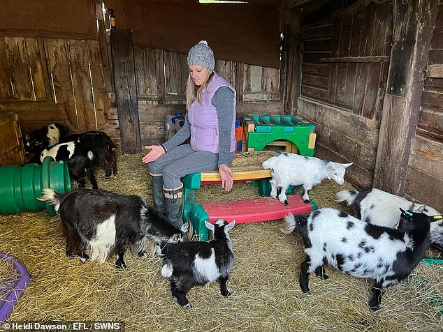 Gemma Cantillon, from Grantham, Lincolnshire, gave up her successful city career and six-figure salary to become a spiritual healer for animals