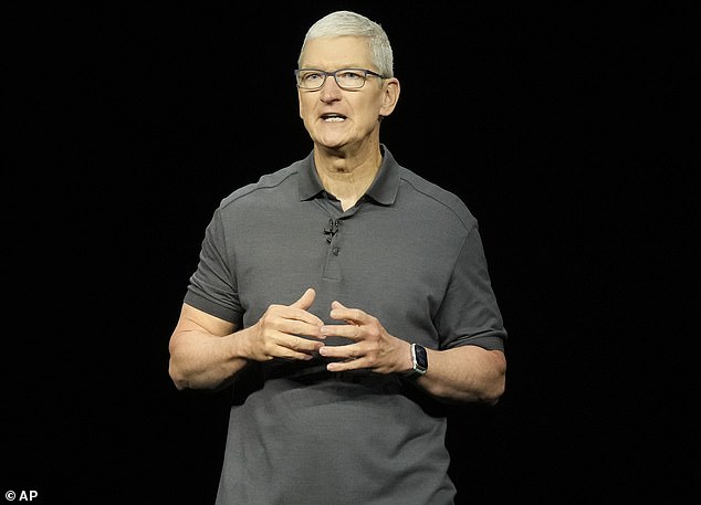 Apple CEO Tim Cook (pictured) says the tech giant will make a big announcement about new AI features sometime in the next year