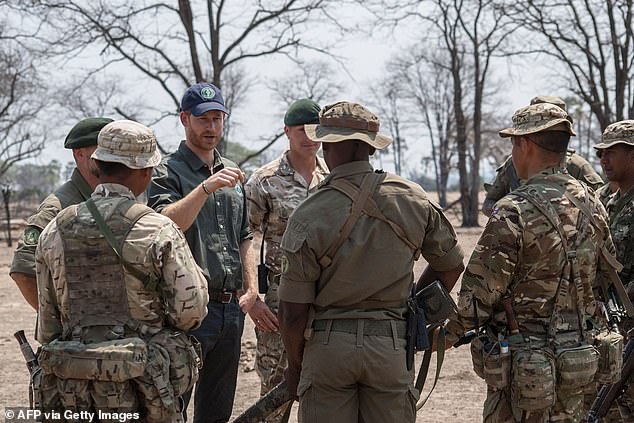 Prince Harry was president of African Parks for six years until he joined the board of directors last year