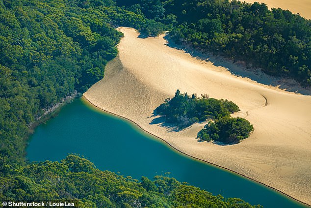 An 18-year-old woman was heading to Lake Wabby on the island when she was bitten on the back of her leg.  Rangers posted warning signs at the entrance to the lake on Sunday morning