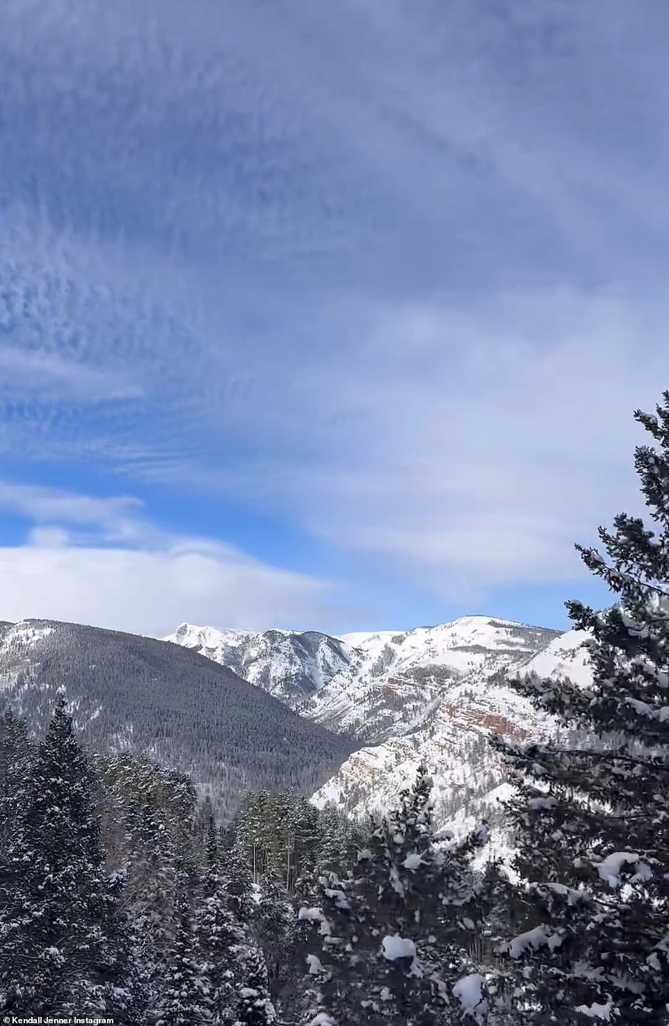 Here, Kendall Jenner shared a look at the snow-covered trees in Aspen