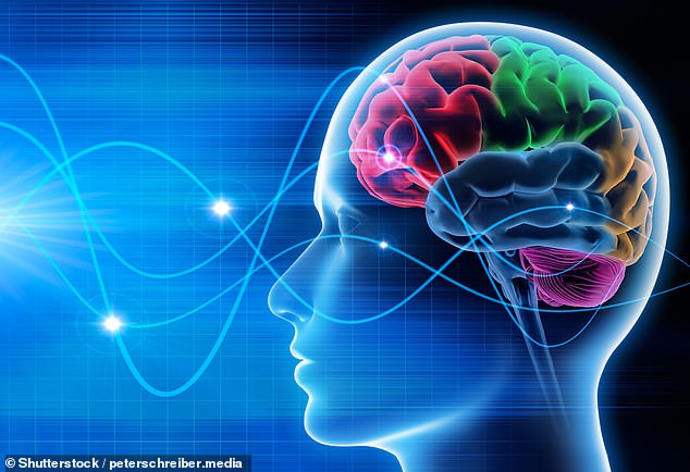Business Brainwave: Cambridge Cognition's brain health tests can be done on a smartphone