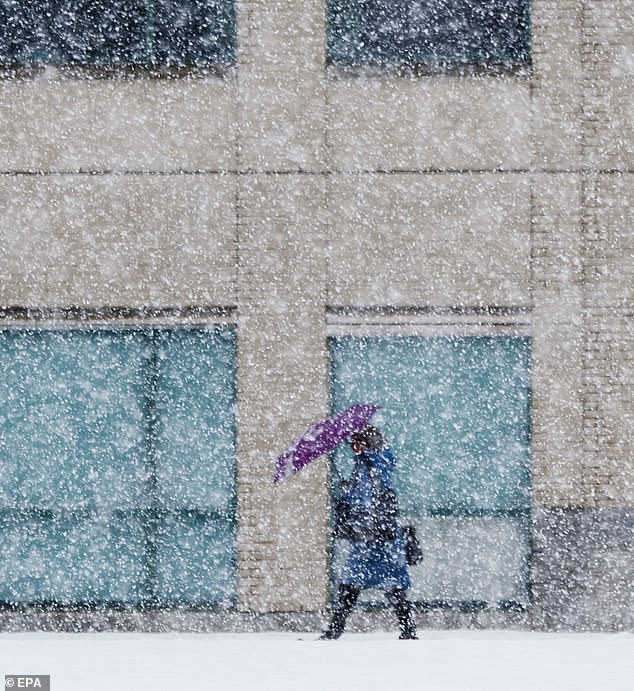 A woman walks with an umbrella amid heavy snow in Providence, Rhode Island