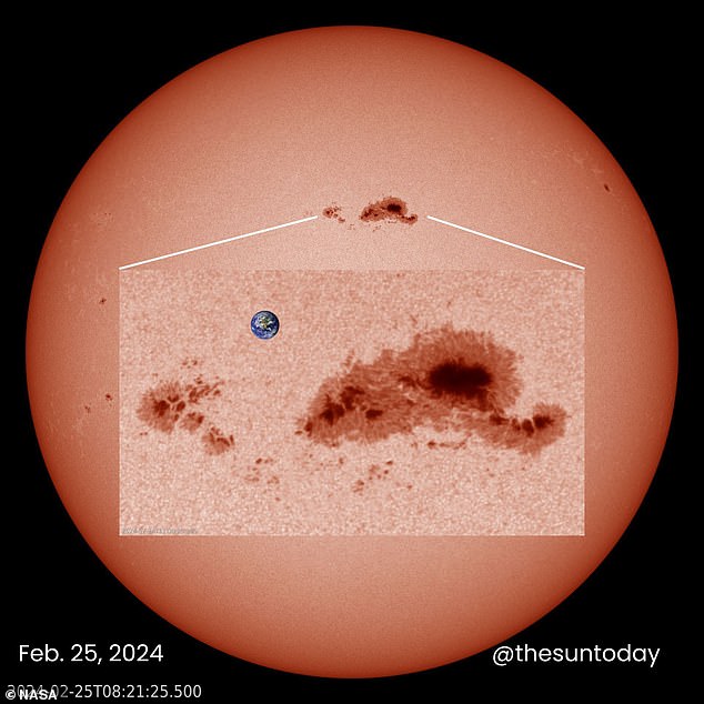 Often larger than planets, sunspots look dark on the Sun's surface because they are cooler than other parts (although they are still very hot, about 6500°F).  Pictured is sunspot AR3590 with Earth as the scale