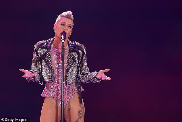 Pink recently held a concert at Marvel Stadium just days before the Matildas were to play Uzbekistan