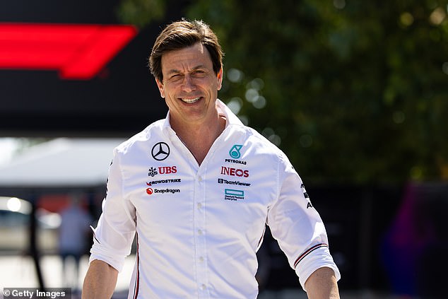 Mercedes boss Toto Wolff (above) has demanded more transparency from Red Bull's investigation into Christian Horner