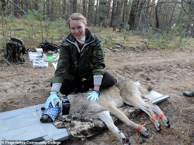 Cara Love, an evolutionary biologist at Princeton University, set out with a team of researchers to understand how animals were able to survive the cancer-causing radiation