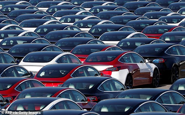 Shares of Tesla plunged again to a nine-month low after Europe's largest software company announced it would no longer buy cars for employees.  Pictured is a fleet of newly produced Tesla electric cars in 2020