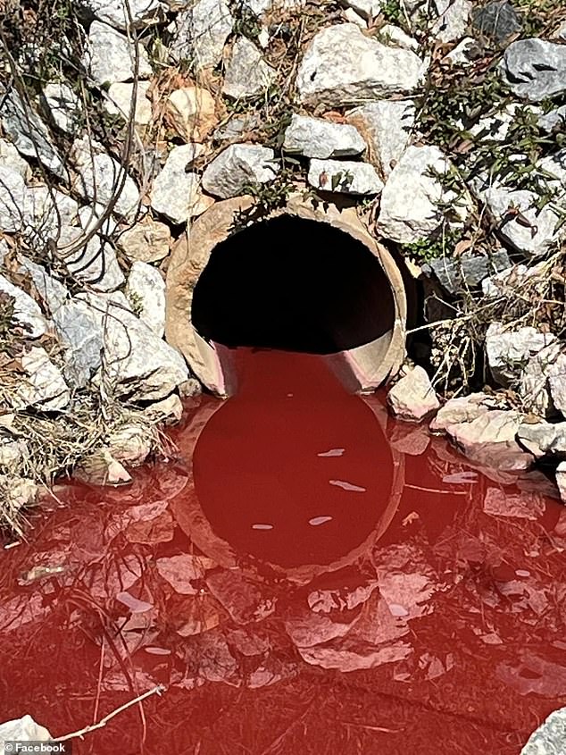 Officials recently opened an investigation into a mysterious blood-like ooze leaking from a water drainage pipe in a South Carolina city