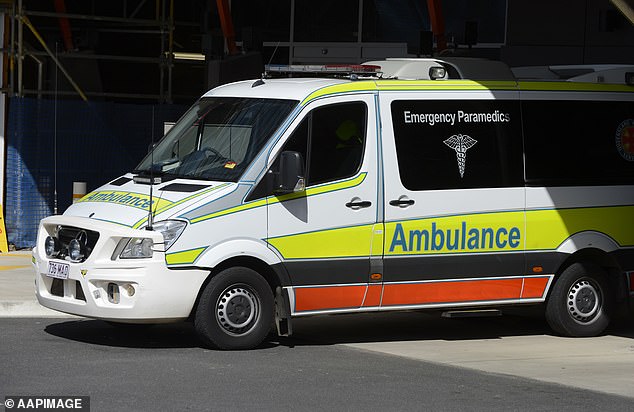 In a separate incident, Mrs O'Callaghan attempted to leave another remote property after discovering a dead man, but the engine in the ambulance (stock image) would not start