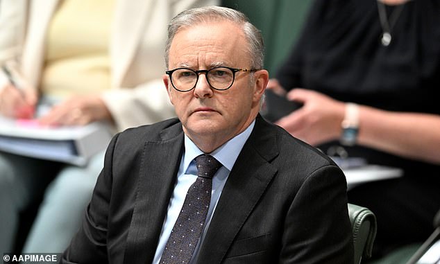 Prime Minister Anthony Albanese has attracted attention after calling for the North Sydney Bears – and Newtown Jets – to be part of a 20-team NRL competition within the next decade.