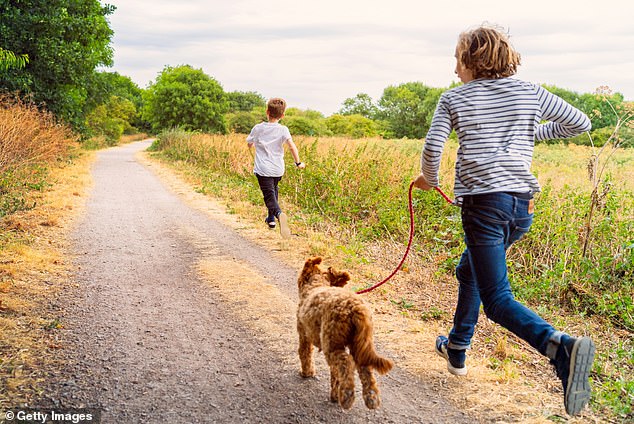 The research from the University of Western Australia and the Telethon Kids Institute in Perth found that girls who bought a dog increased their light-intensity activities and games by 52 minutes per day (stock image)