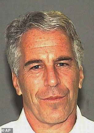 The Florida Department of Law Enforcement said it has found no evidence that Jeffrey Epstein received special treatment