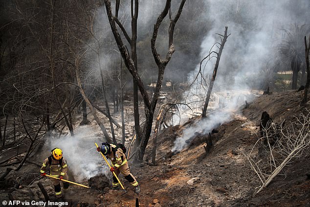 CHILE: Forest fires are raging all over the world in the unusually hot month of February