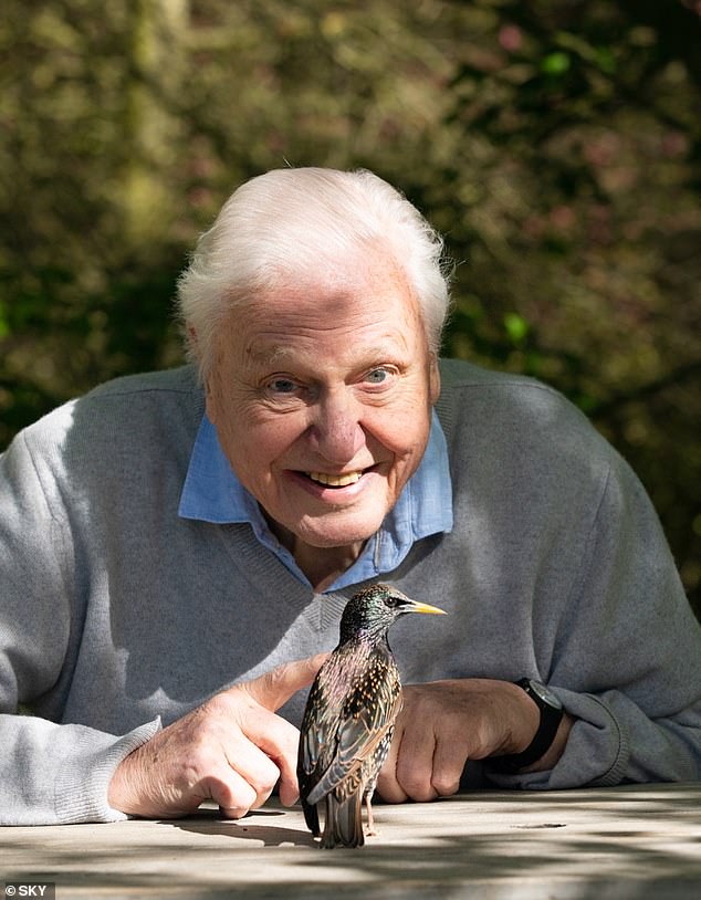 New technology is an obsession for Sir David Attenborough.  He is a driving force behind so many innovations.  As head of BBC2 in the 1960s he oversaw the introduction of color television to Britain, and it was in Attenborough's landmark Life documentaries that many new filmmaking methods were first showcased.