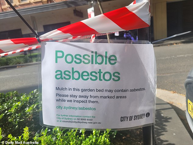 On Saturday afternoon, Daily Mail Australia witnessed another possible site of asbestos contamination at a busy intersection in Surry Hills, where red tape and signs warning 'possible asbestos' blocked several flower beds (pictured)