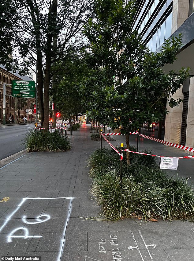 Nearly a dozen trees on Abercrombie Street in Chippendale (pictured) were taped off on Wednesday over concerns there could be asbestos in the mulch beneath them