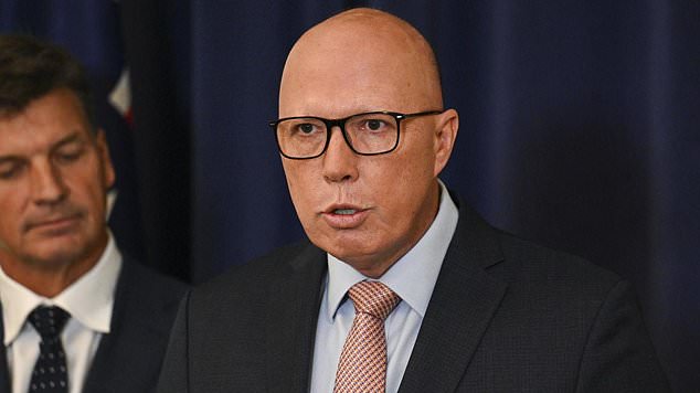 Bigger tax cuts for lower and middle incomes are all but inevitable as Peter Dutton (pictured) sets up the battleground for the next election