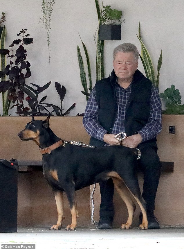 William Shatner seemed nervous and dejected as he took his two dogs to the vet in Los Angeles last week