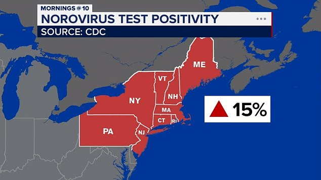 The above map highlights the northeastern region of the US currently experiencing a norovirus outbreak