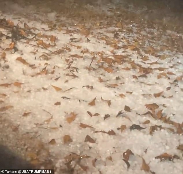 In Texas, patches of hail can be seen on the ground, intertwined with brown leaves